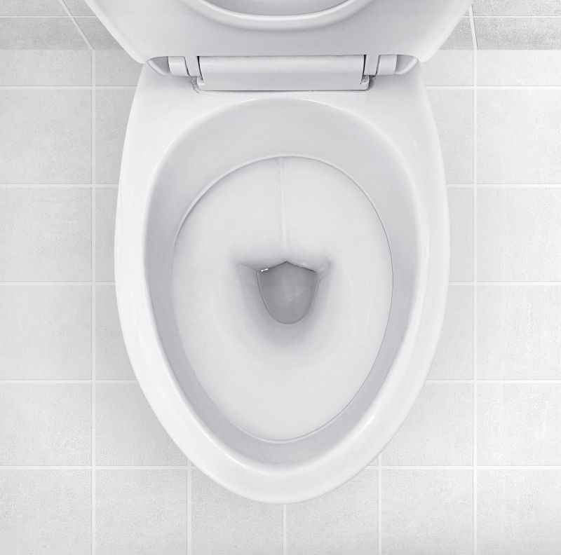 Toilet Lid Installation