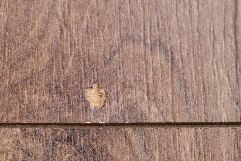 Woodpecker Hole Patching