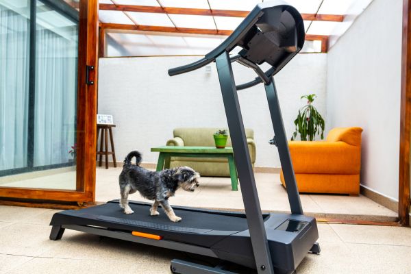 Treadmill Installation in Conway