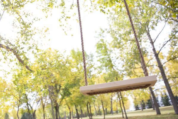 Tree Swing Installation in Conway