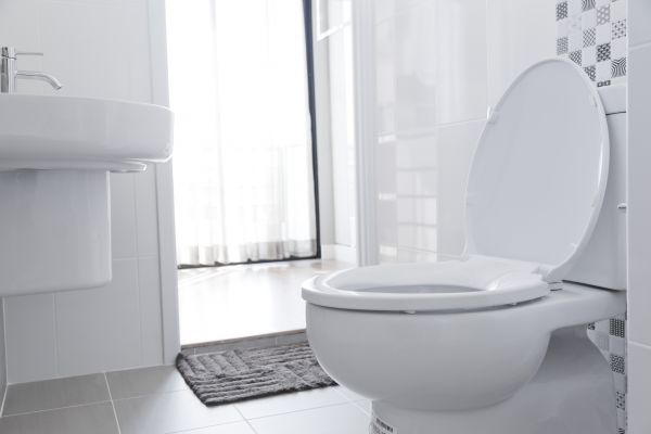 Toilet Seat Installation in Conway
