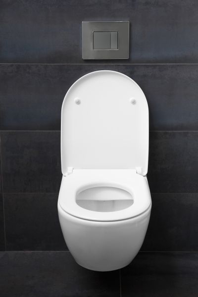 Toilet Lid Installation in Conway