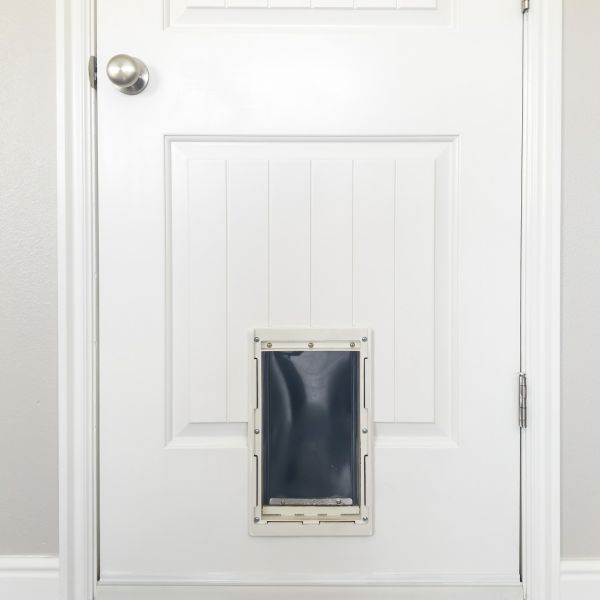 Pet Door Repair in Conway