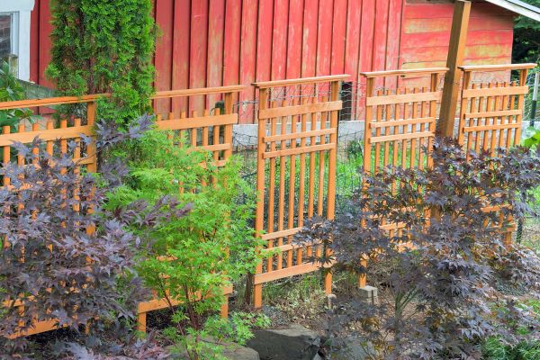 Wood Trellis Mounting in Conway