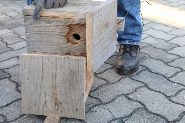Birdhouse Mounting in Conway