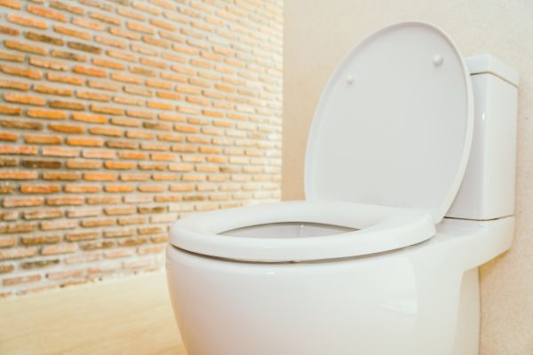 Toilet Seat Repair in Conway
